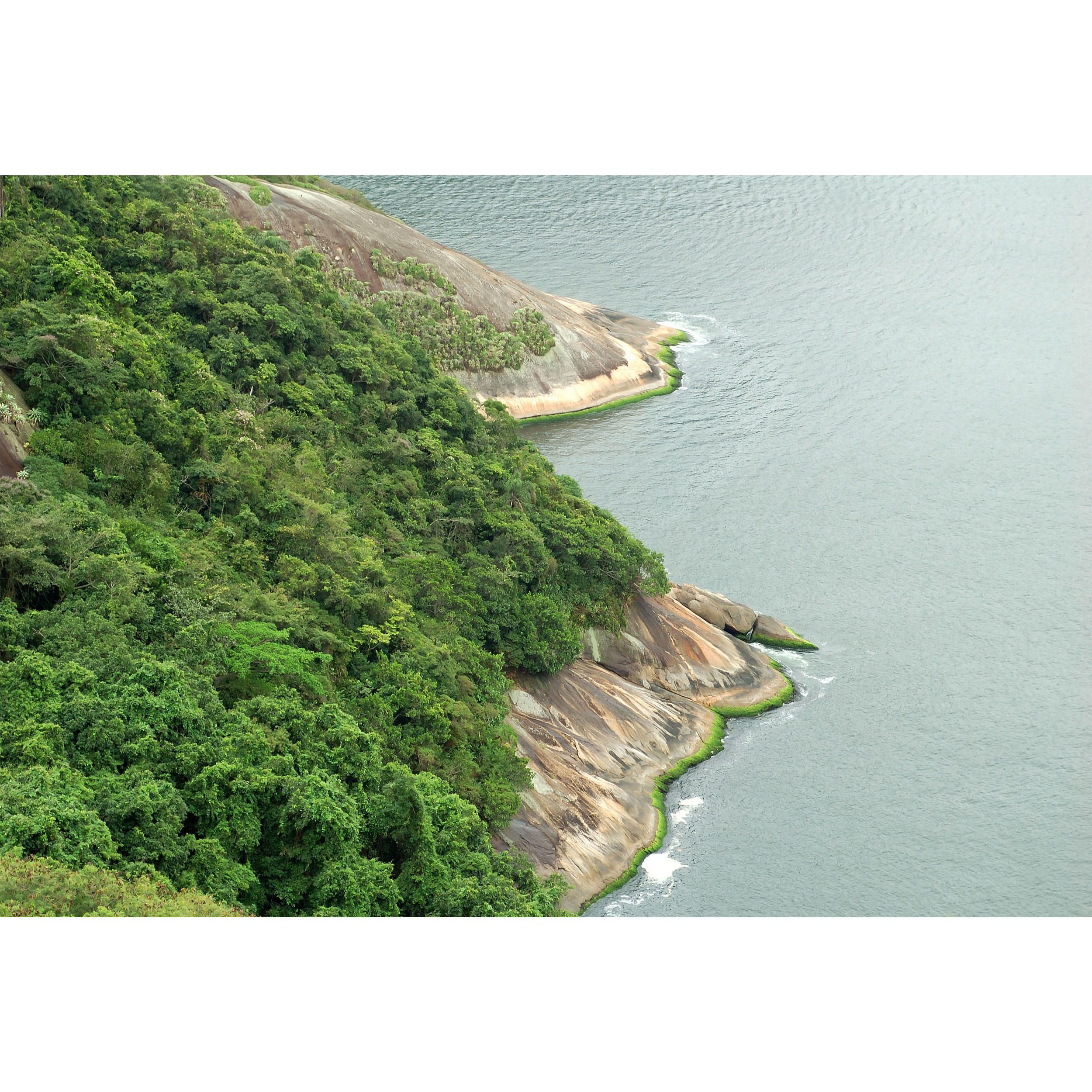 تابلو شاسی مدل دریا و درخت T7125