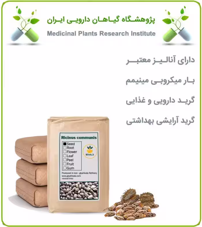 دانه کرچک خشک فله