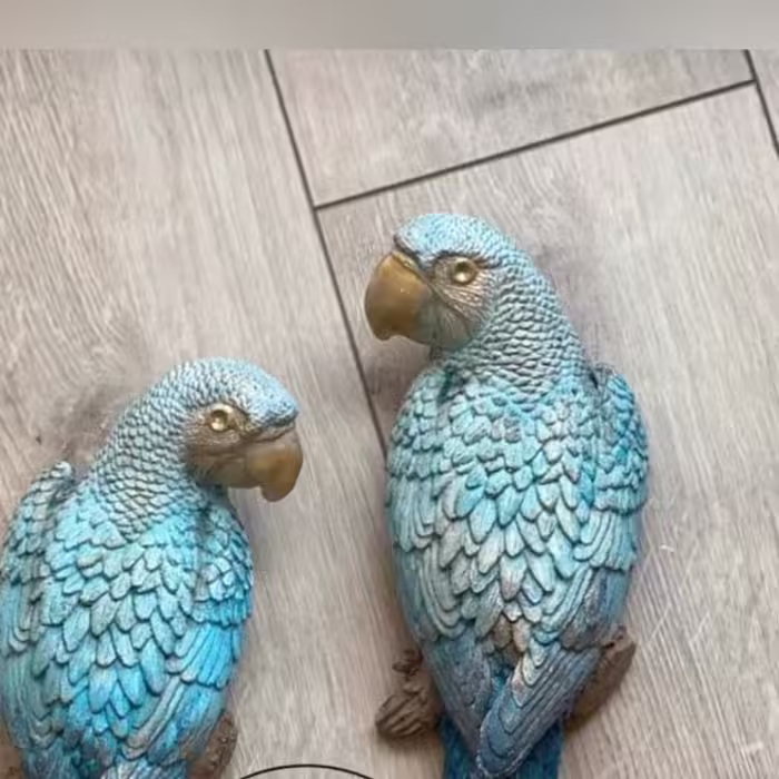 طوطی دیوار کوب،یه کار خاص و زیبا (یک جفت)