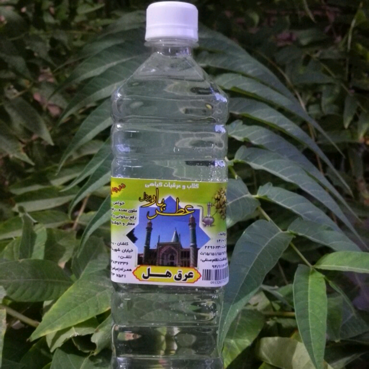 عرق هل