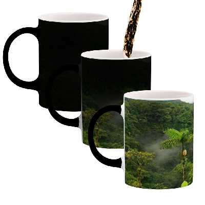 ماگ حرارتی کاکتی طرح منظره مدل mgh17752