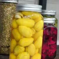 ترشی کامکوات