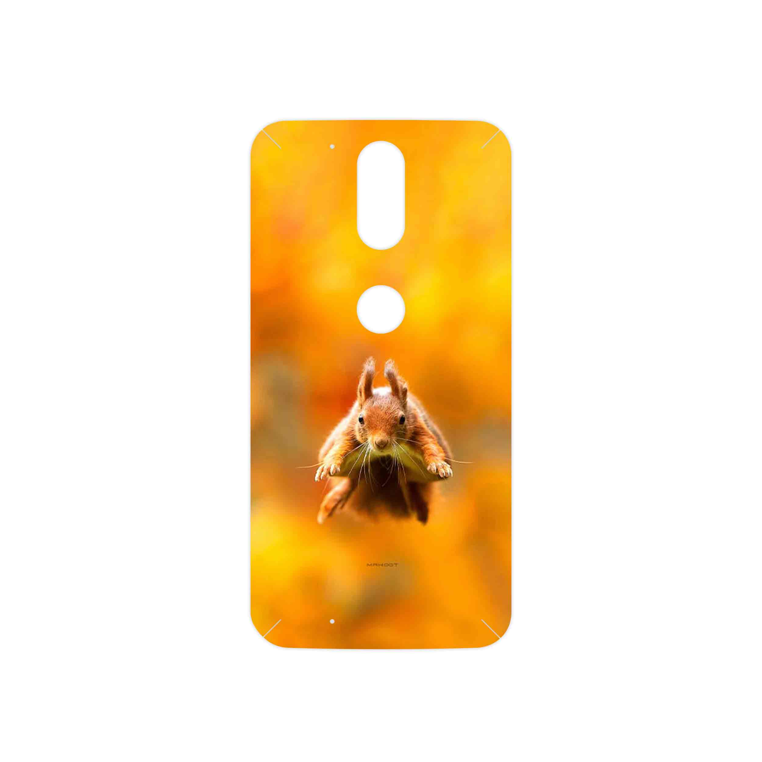 برچسب پوششی ماهوت مدل Squirrel مناسب برای گوشی موبایل موتورولا Moto G4