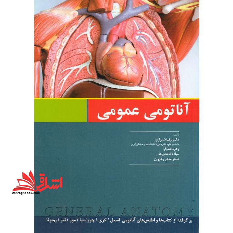 آناتومی عمومی برگرفته از کتاب ها و اطلس های آناتومی اسنل - گری- چوراسیا - مور - نتر - زوبوتا - فروشگاه کتاب اشراق