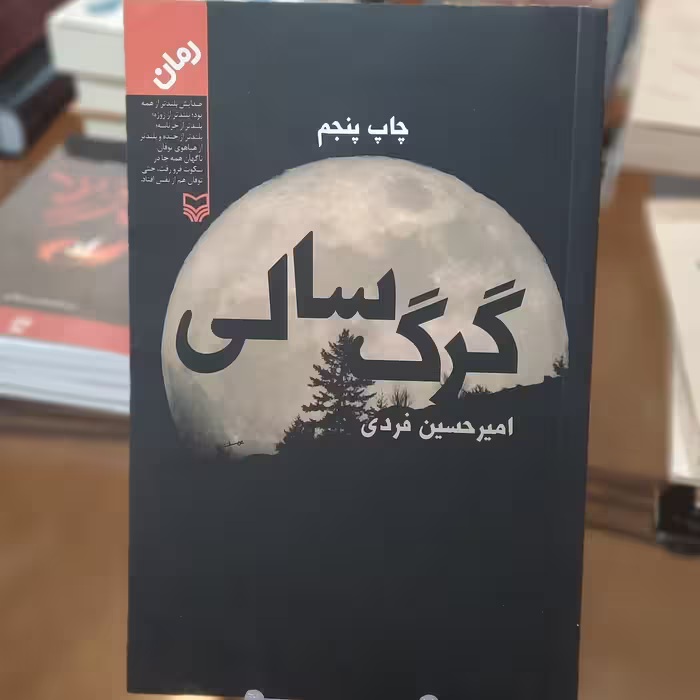 کتاب گرگ سالی اثر امیر حسین فردی 