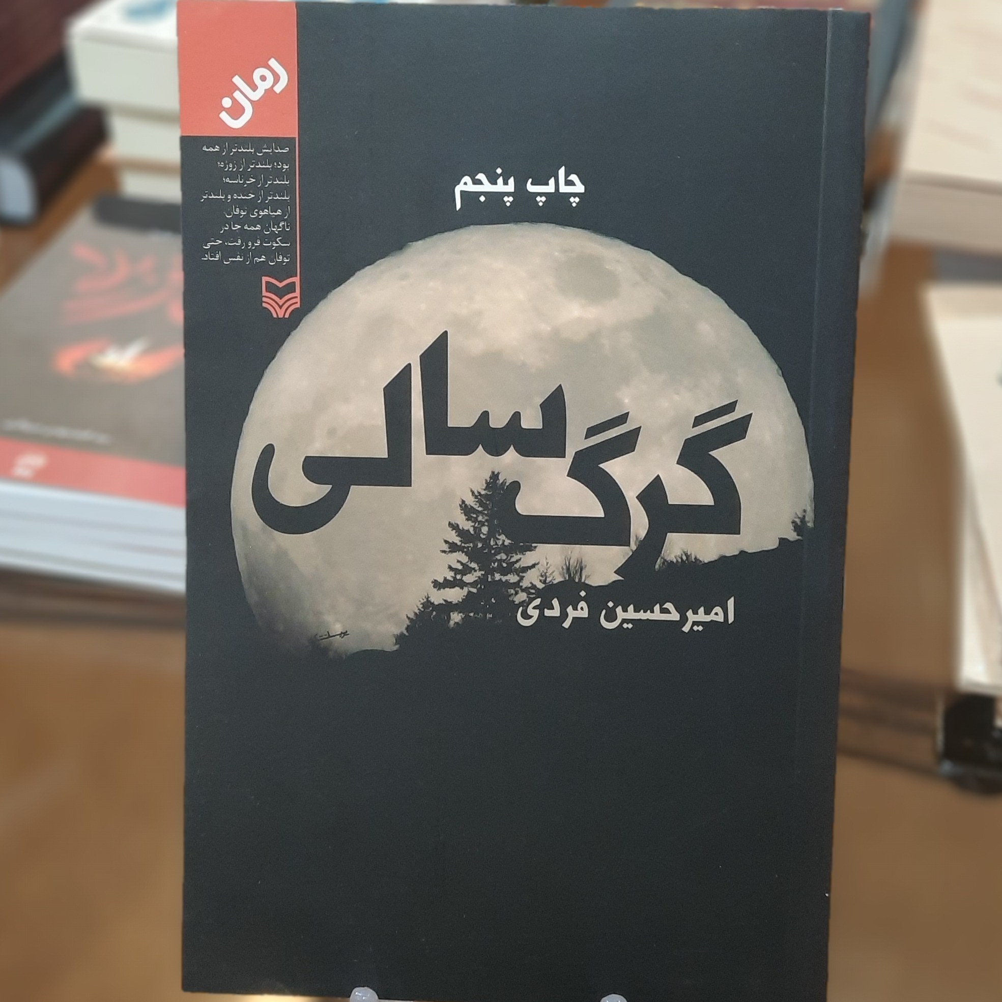 کتاب گرگ سالی اثر امیر حسین فردی
