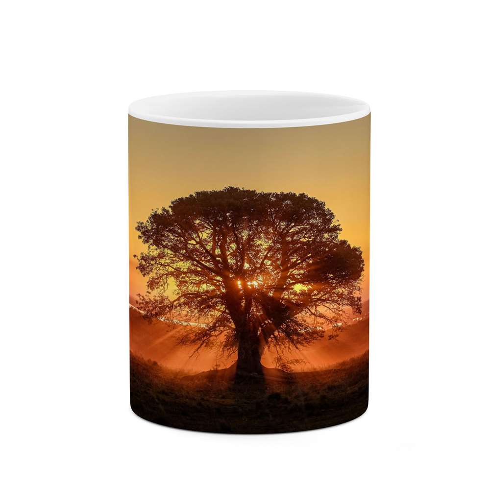 ماگ کاکتی طرح منظره مدل mgs14058