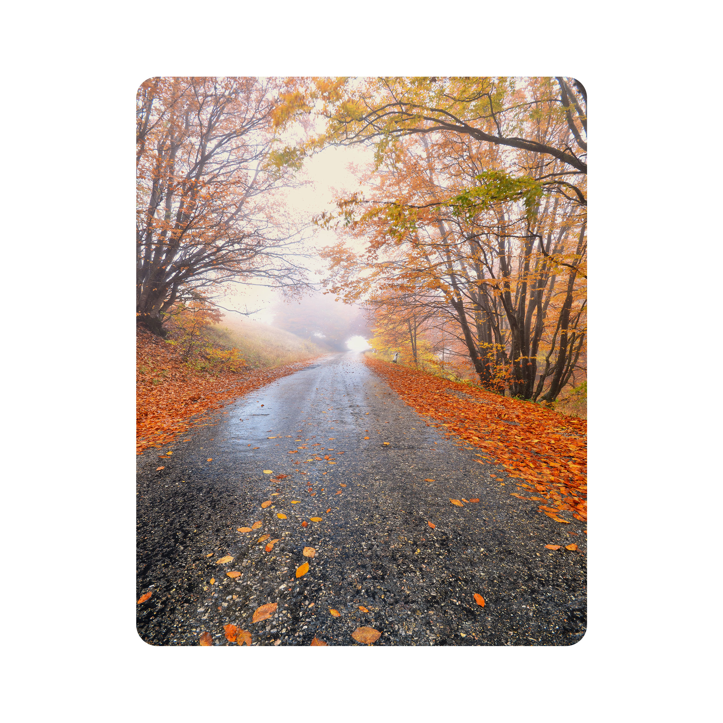 ماوس پد اطلس آبی طرح جنگل و درخت و برگ پاییزی مدل T6812