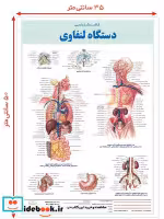 قیمت و خرید کالبد شناسی دستگاه لنفاوی | ایده بوک