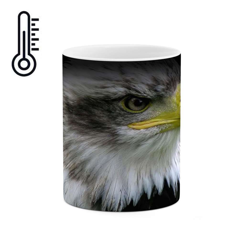 ماگ حرارتی طرح عقاب مدل mgh10907