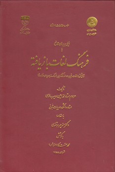 خرید کتاب ذیلی بر برهان قاطع یا فرهنگ لغات بازیافته &#8212; کتابسرای طه