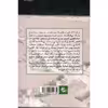 کتاب زنی که سبز شد اثر غلامرضا رمضانی انتشارات کتاب چرخ فلک