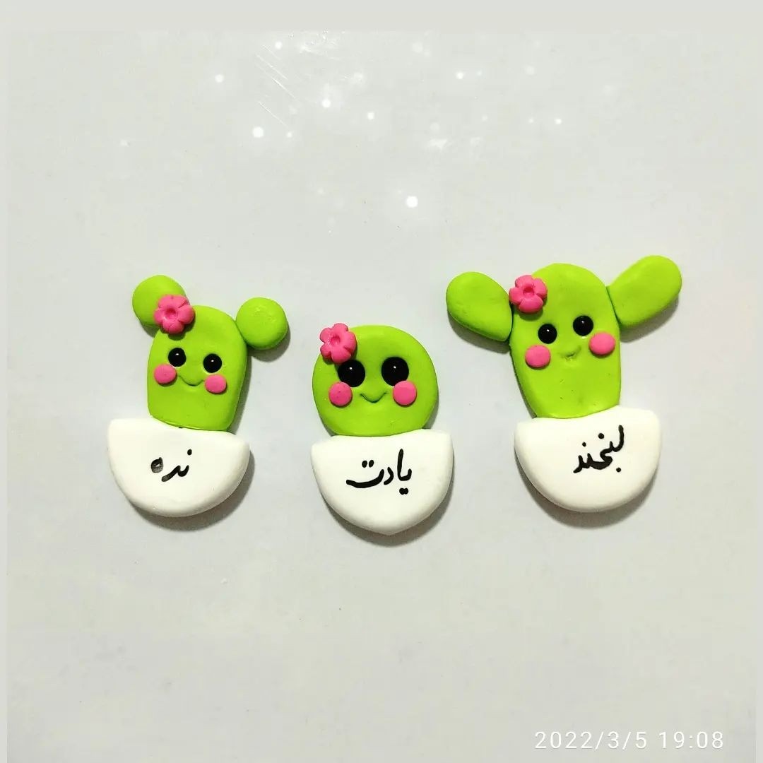 مگنت سه تایی طرح کاکتوس لبخند یادت نره