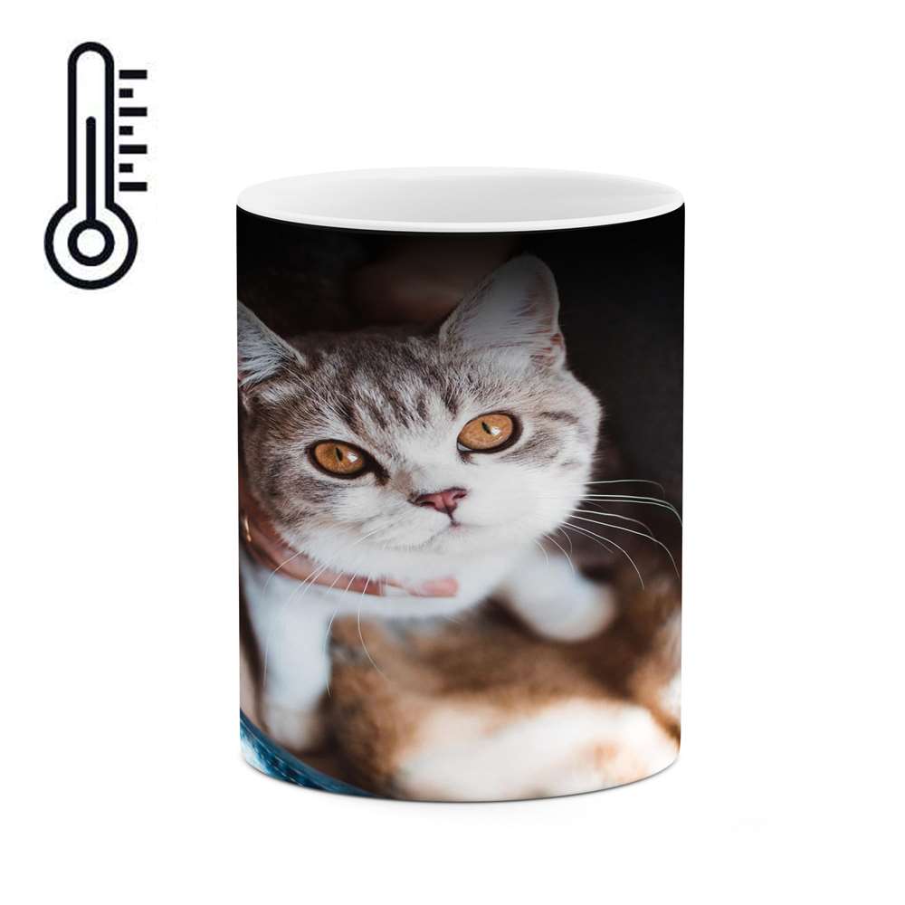 ماگ حرارتی کاکتی طرح گربه مدل mgh15838