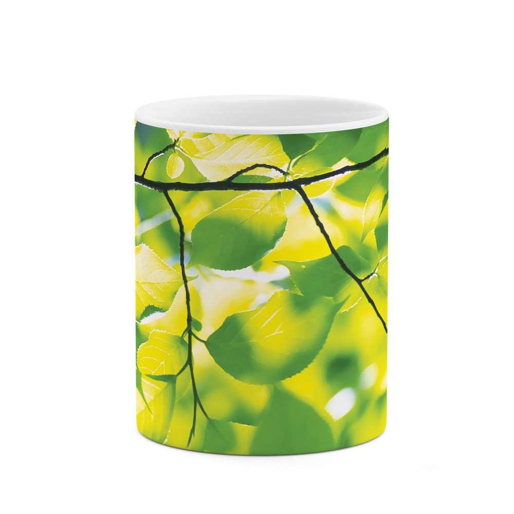 ماگ طرح برگ رنگی مدل mgs06803