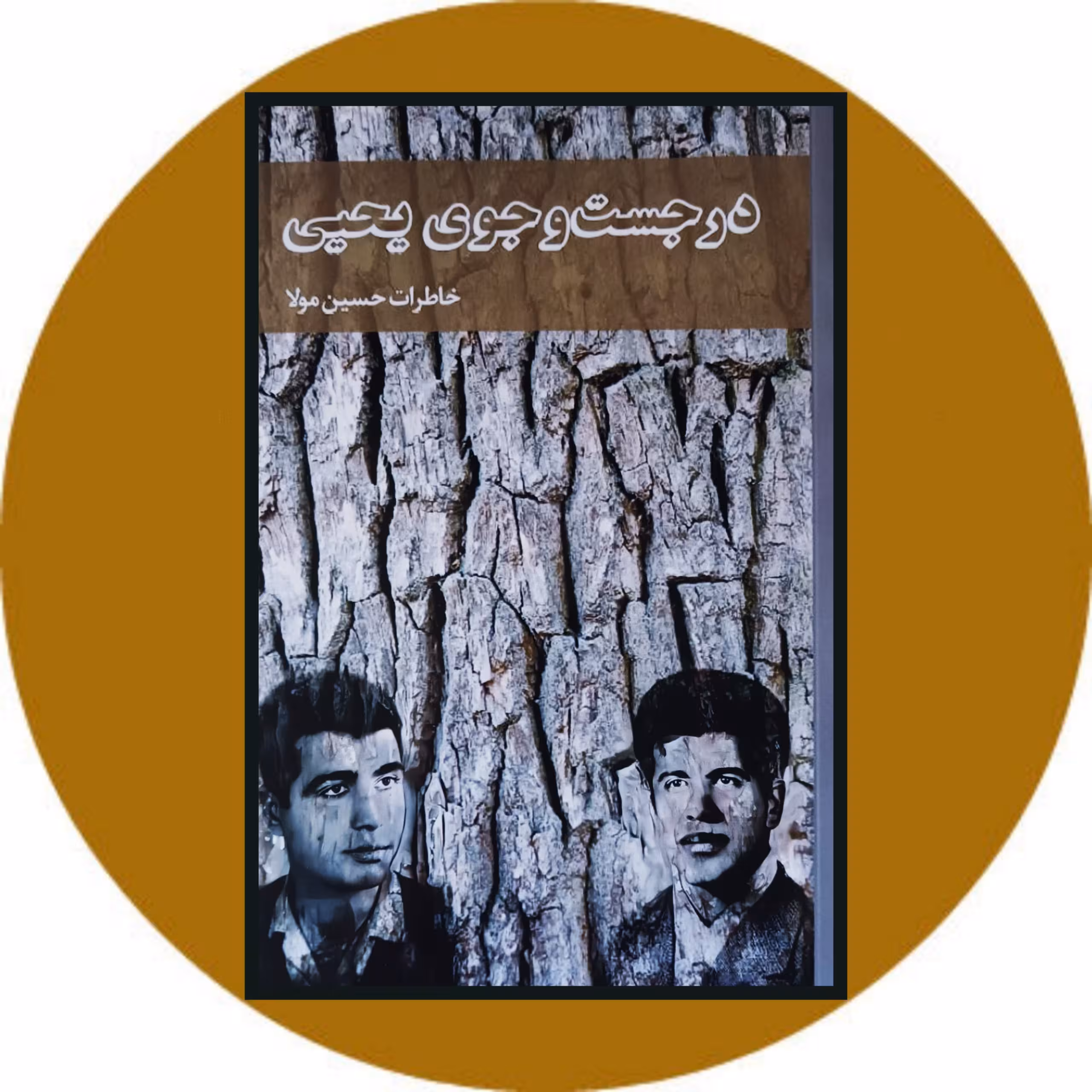 کتاب در جست و جوی یحیی - خرید با تخفیف چهل درصد از کتاب دایره قهوه ای