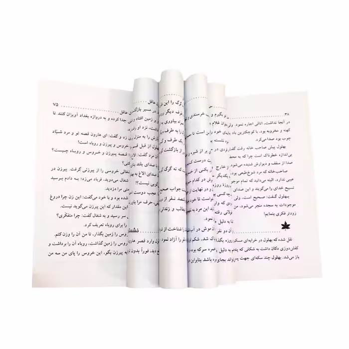 کتاب حکایت های شیرین بهلول اثر گیتی سادات سید میر انتشارات نور گیتی