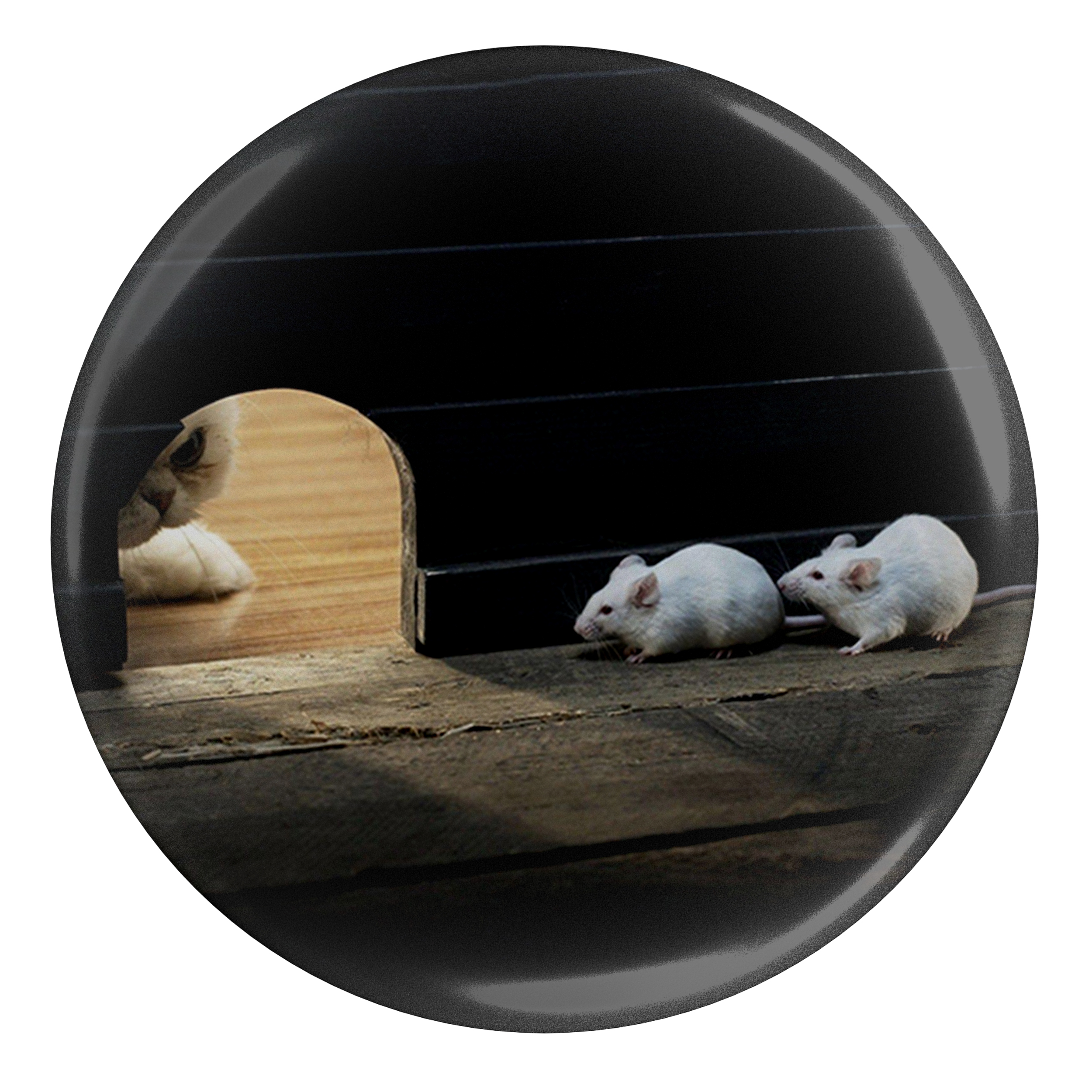 پیکسل طرح موش و گربه مدل S1537