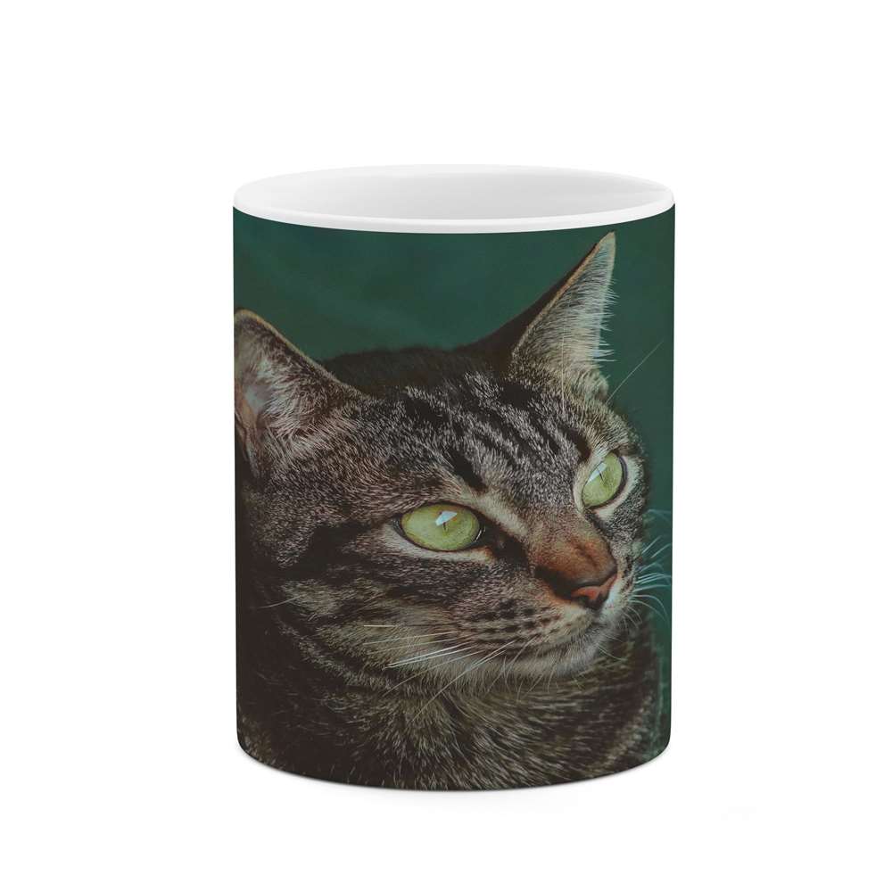 ماگ کاکتی طرح گربه مدل mgs16226