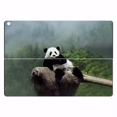 برچسب پوششی ماهوت مدل Panda مناسب برای تبلت ایسوس Transformer 3 Pro 2016