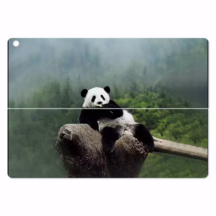 برچسب پوششی ماهوت مدل Panda مناسب برای تبلت ایسوس Transformer 3 Pro 2016
