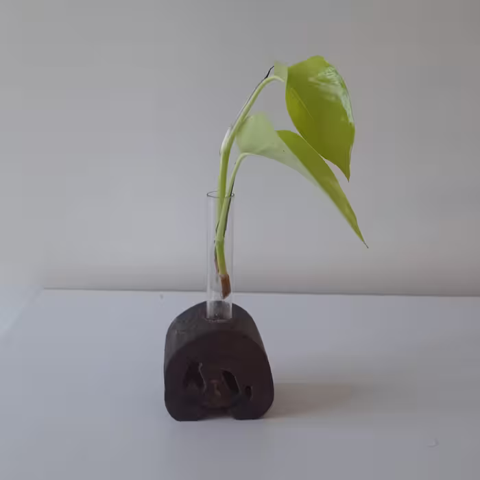 گلدان لوله ای 