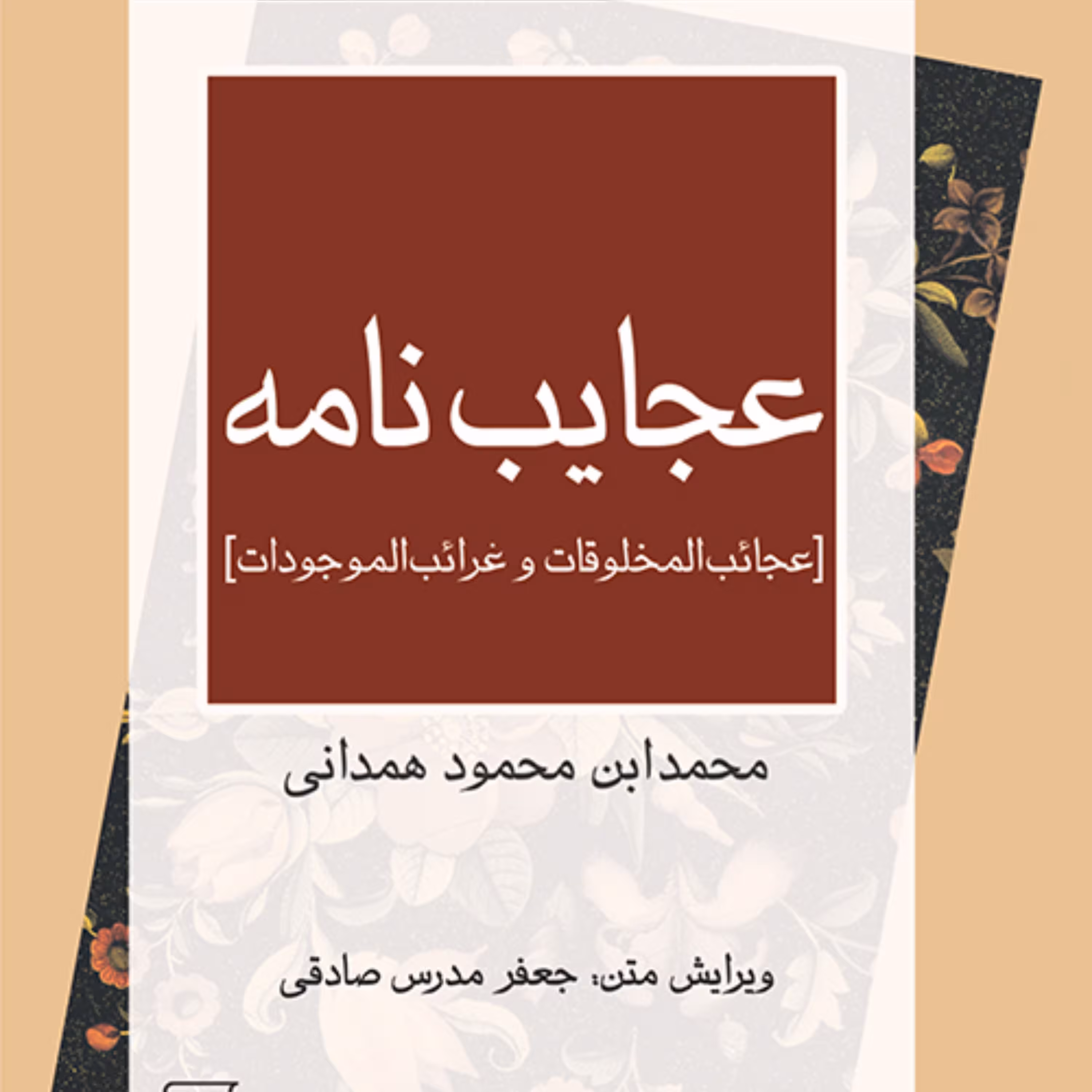 کتاب عجایب نامه  محمد ابن محمود همدانی ویرایش مدرس صادقی   تاریخ ادبیات نشر مرکز