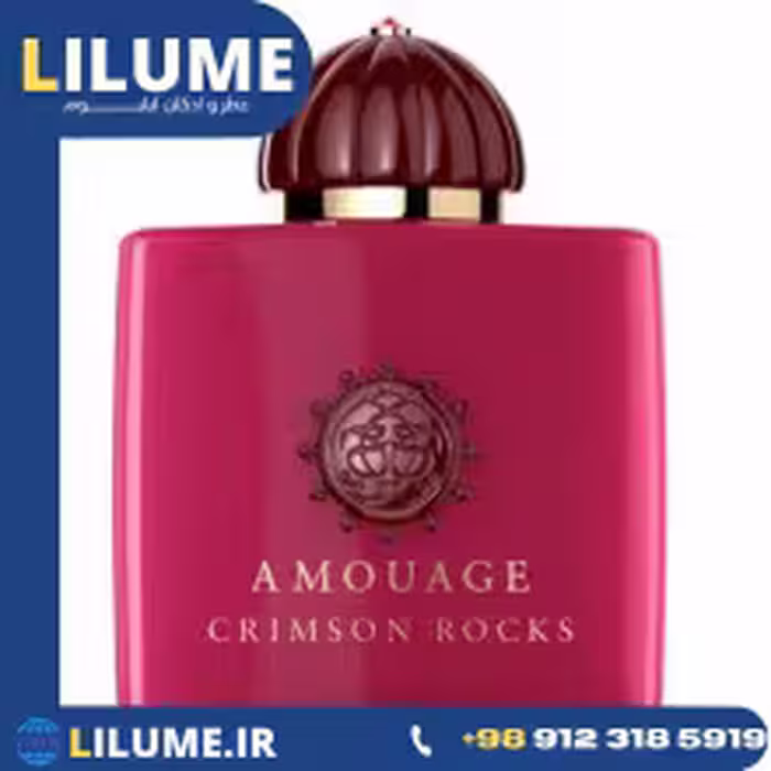 عطر ادکلن آمواج - آمواژ کریمسون راکز 100 میل مردانه – زنانه