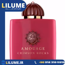 عطر ادکلن آمواج - آمواژ کریمسون راکز 100 میل مردانه – زنانه