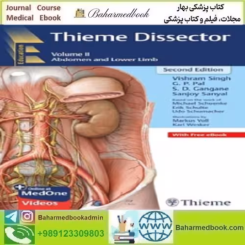Thieme Dissector Volume 2 Abdomen and Lower Limb دانلود کتاب