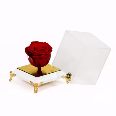 گل رز جاودان نارسیس گیفت مدل 105
