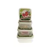 ظرف نگهدارنده هوبی لایف مدل Strawberries مجموعه 4 عددی