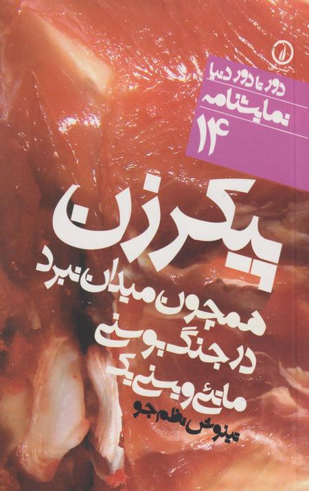 پیکر زن همچون میدان نبرد در جنگ بوسنی