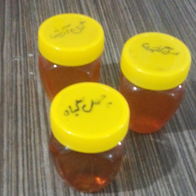 عسل گشنیزی( نیم کیلو)