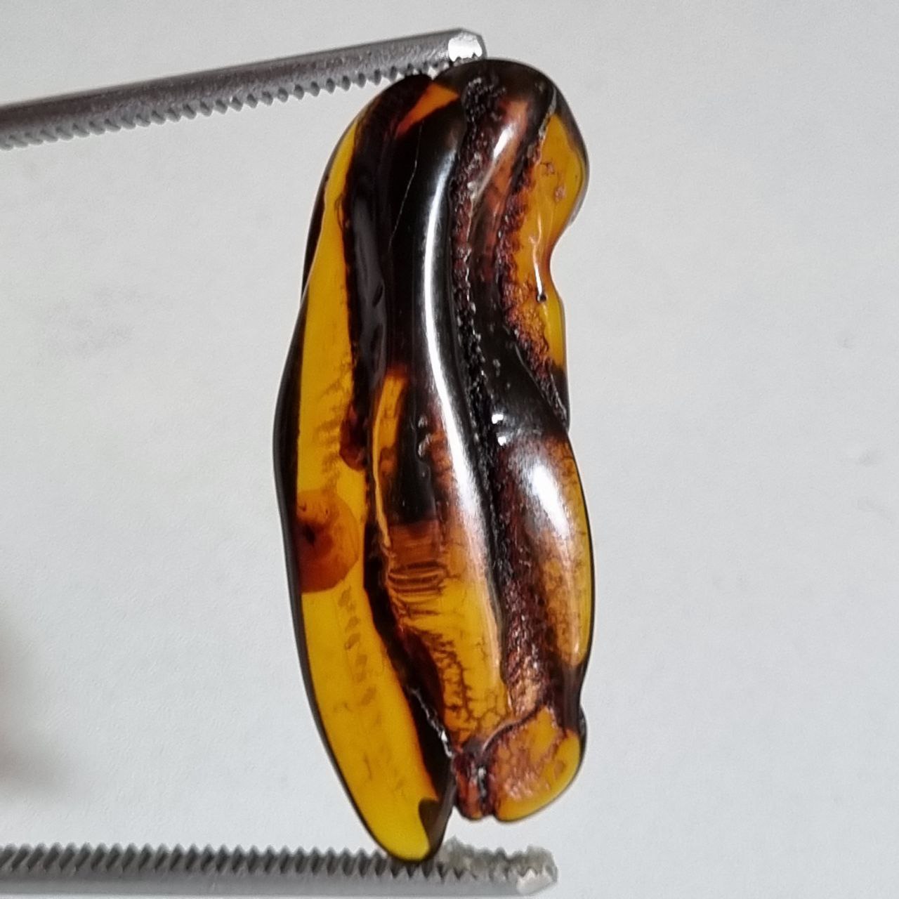 سنگ کهربا راف طبیعی بالتیک 8137