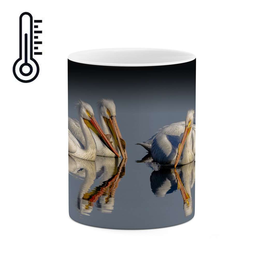 ماگ حرارتی طرح لک لک  مدل mgph10936