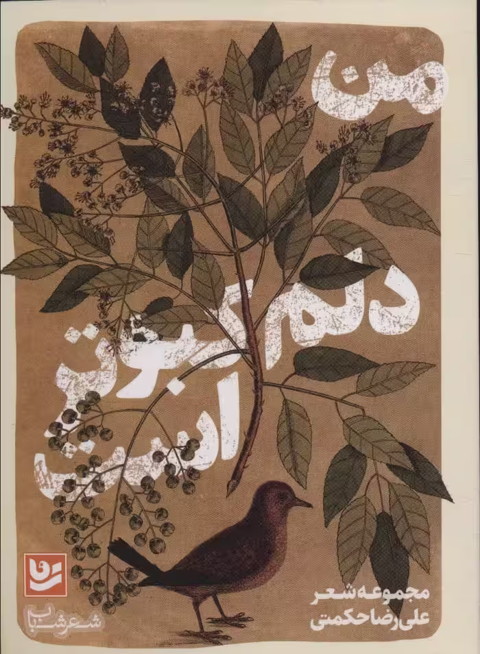 من دلم کبوتر است (شعر شباب33) - ناشربوک | خرید آنلاین کتاب
