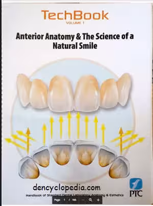 󾕇 دانلود کتاب Anterior Anatomy And The Science Of A Natural Smile, 2019 - دانلود کتاب های دانشگاهی