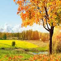 خرید و دانلود عکس Nature-Part-22 کد 36119 | پیک فاکس | Pic Fox