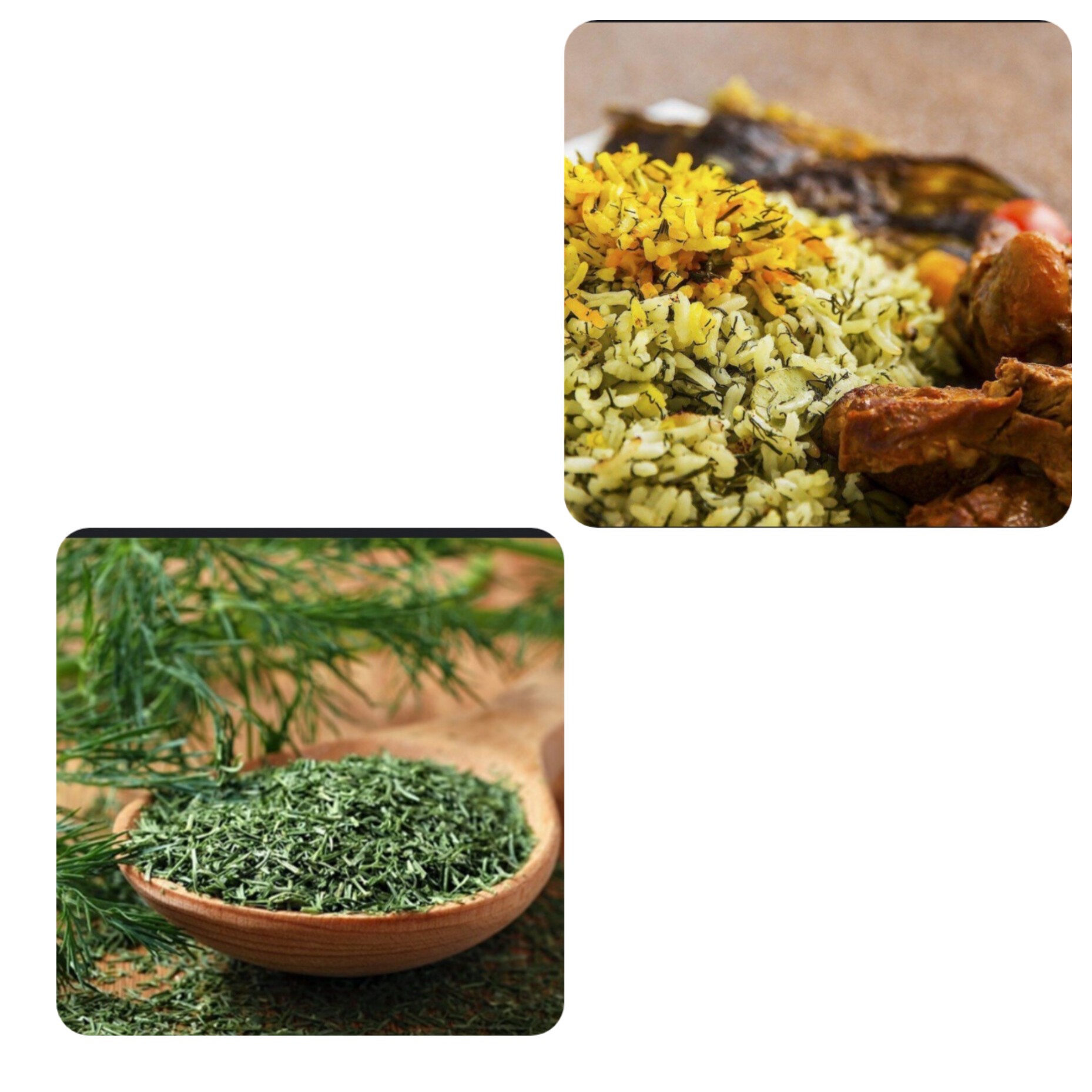 شوید خشک شده  با کیفیت بالا  200 گرم