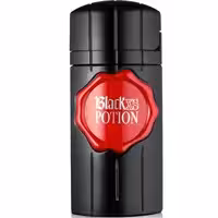 ادو تویلت مردانه پاکو رابان Black XS Potion حجم 100ml