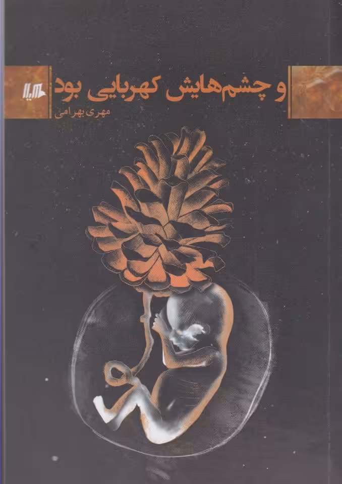 و چشم هایش کهربایی بود - کتاب‌فروشی کوچه کتاب