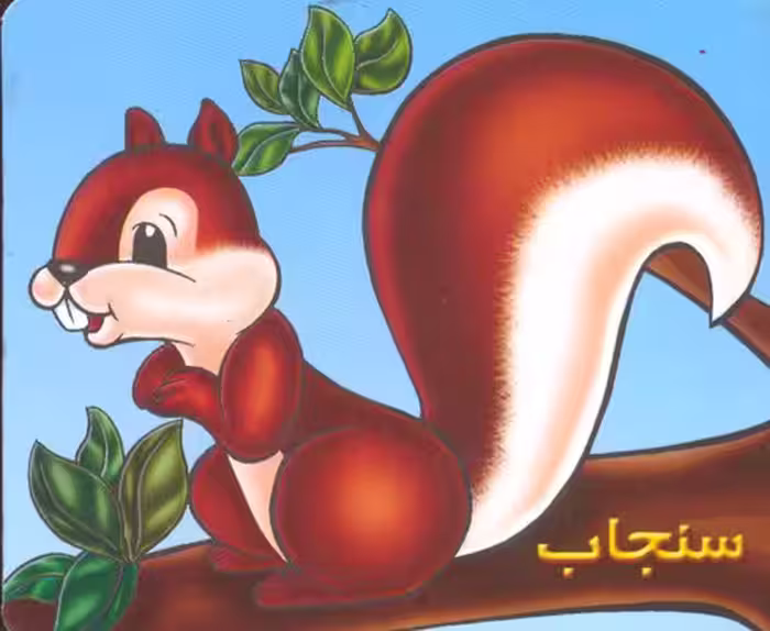 حیوانات را بشناسیم (سنجاب)