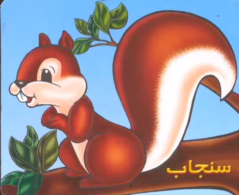 حیوانات را بشناسیم (سنجاب)