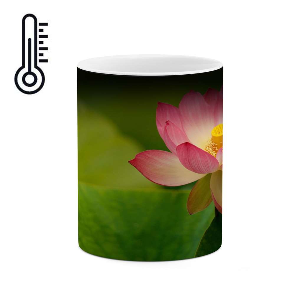 ماگ حرارتی کاکتی طرح گل مدل mgh17329