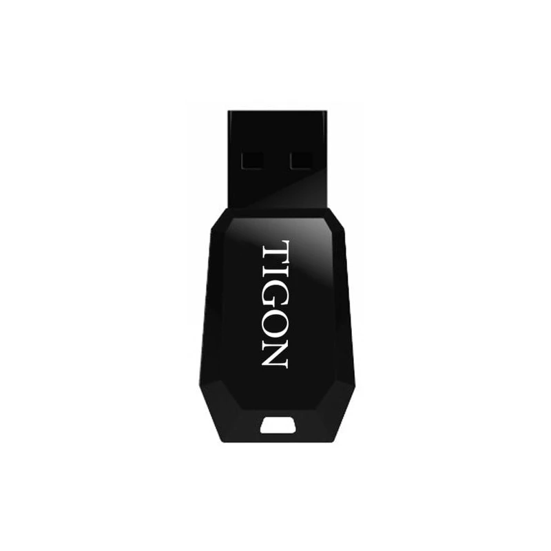 فلش مموری تایگون مدل P300 ظرفیت 128 گیگابایت