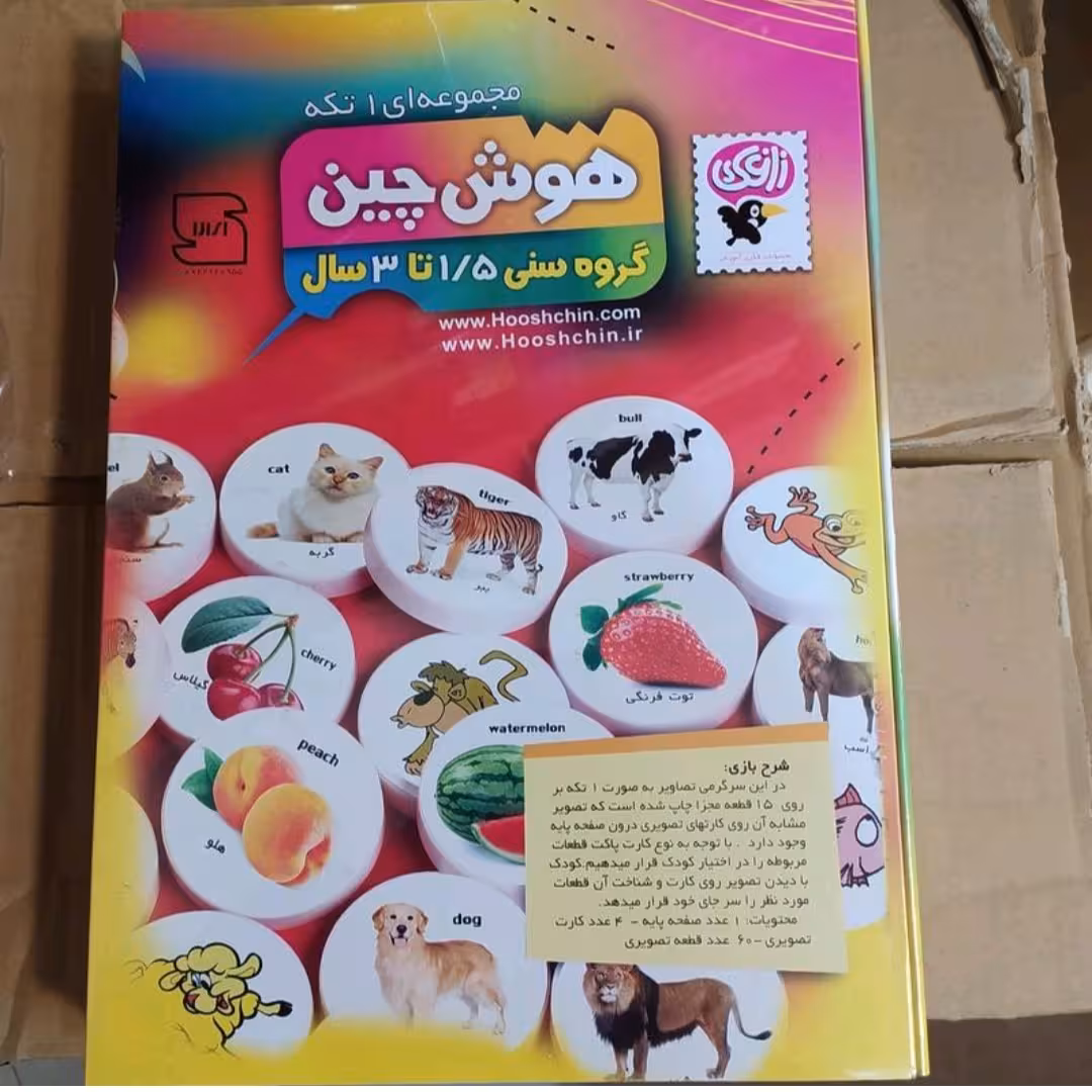 بازی فکری هوش چین یک تکه  بازی فکری