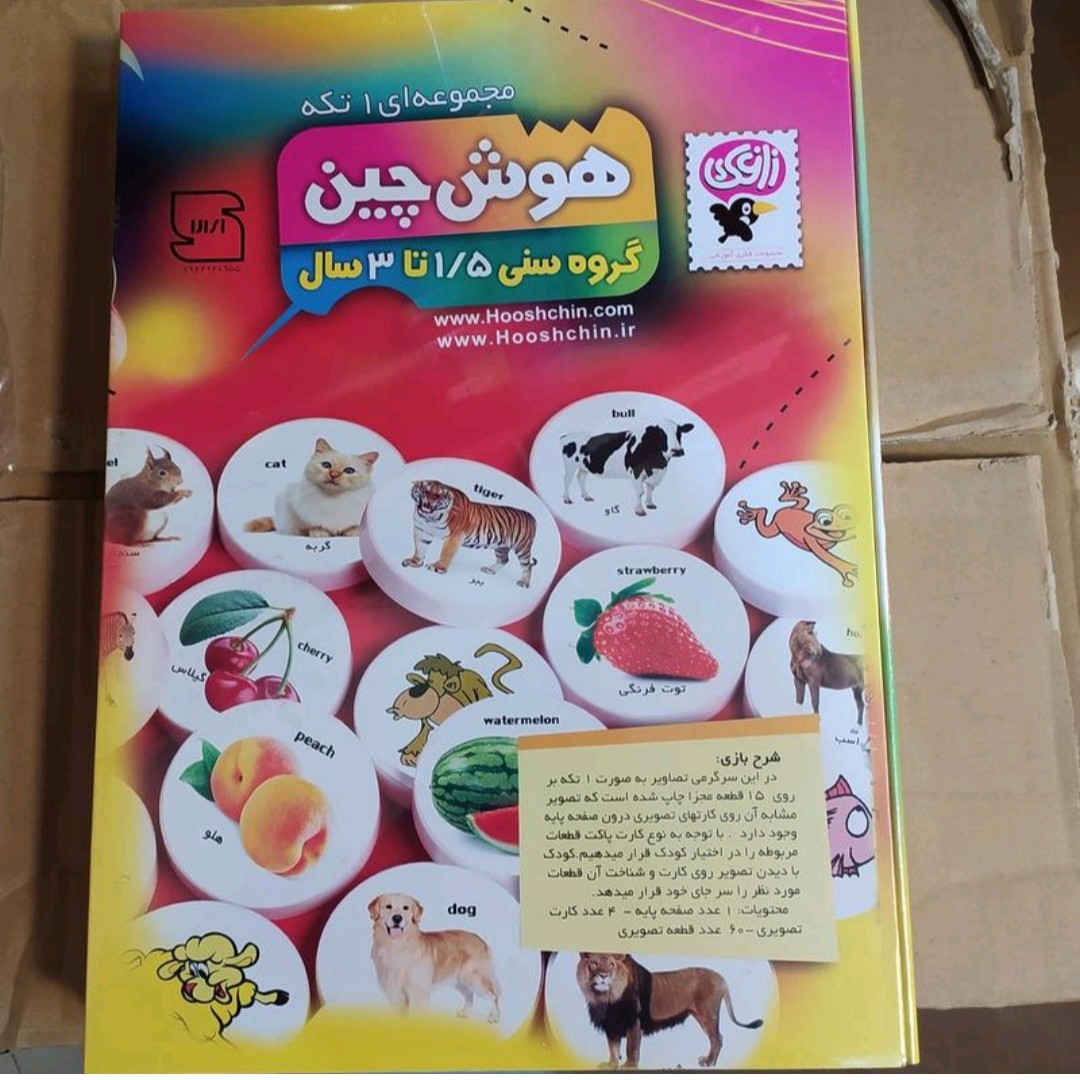 بازی فکری هوش چین یک تکه  بازی فکری