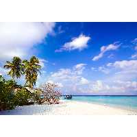 تابلو شاسی مدل دریا و ساحل و درخت و قایق T7453