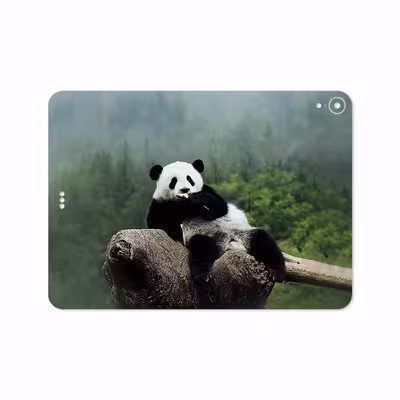 برچسب پوششی ماهوت مدل Panda مناسب برای تبلت اپل iPad Pro 11 2018 A1980